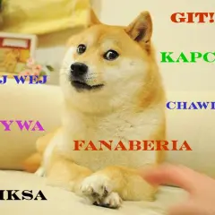 Shiba Inu z napisem "GIT!!". Wokół psa słowa: "OJ WEJ", "KSYWA", "SIKSA", "KAPCAN", "CHAWIRA", "FANABERIA".