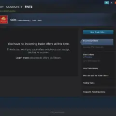 Na Steamie, gdzie jest trade link? Brak ofert wymiany, ale można je wysłać lub zobaczyć historię.