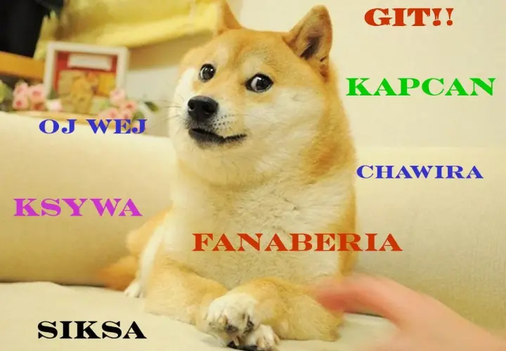Shiba Inu z napisem "GIT!!". Wokół psa słowa: "OJ WEJ", "KSYWA", "SIKSA", "KAPCAN", "CHAWIRA", "FANABERIA".