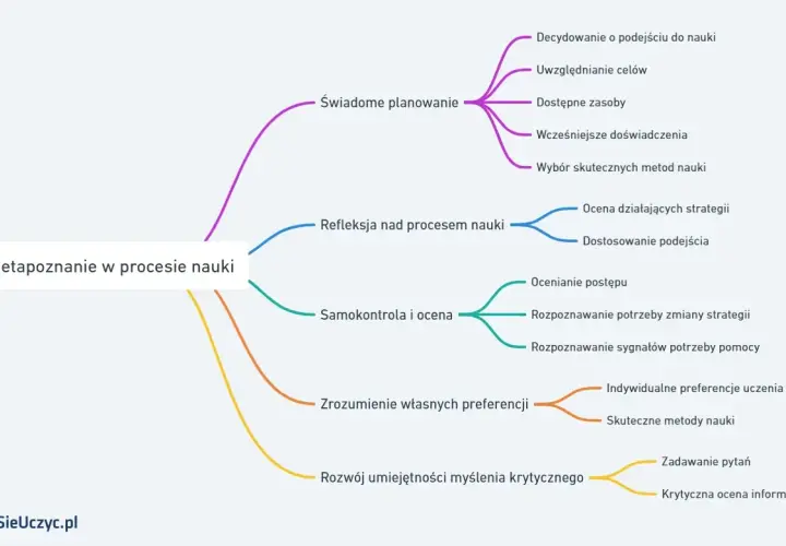 Metapoznanie w procesie nauki to świadome planowanie, refleksja, samokontrola, zrozumienie preferencji i rozwój myślenia krytycznego.