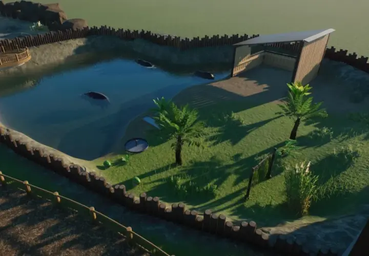 Wodne wybiegi dla hipopotamów w Planet Zoo, z kilkoma zwierzętami pływającymi w stawie i zielonym terenem z palmami.