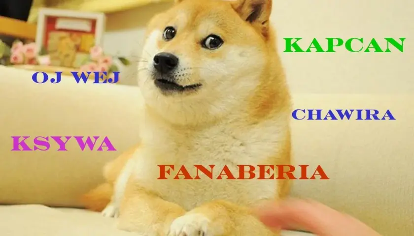 Shiba Inu z napisem "GIT!!". Wokół psa słowa: "OJ WEJ", "KSYWA", "SIKSA", "KAPCAN", "CHAWIRA", "FANABERIA".