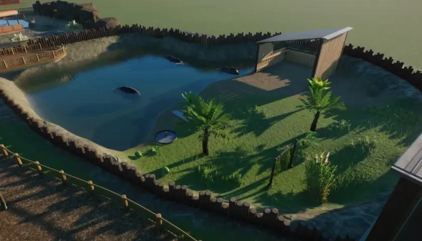 Wodne wybiegi dla hipopotamów w Planet Zoo, z kilkoma zwierzętami pływającymi w stawie i zielonym terenem z palmami.