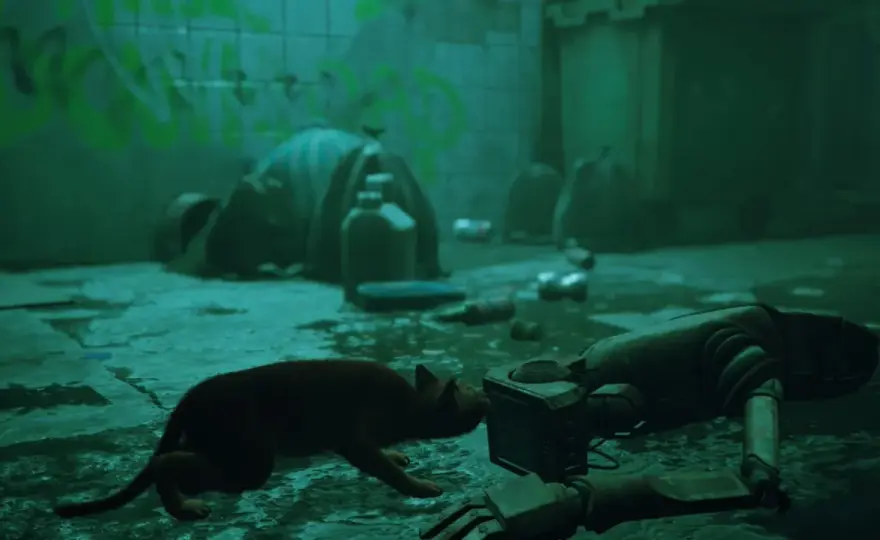 Stray 2 - Co naprawdę wiemy o kontynuacji?