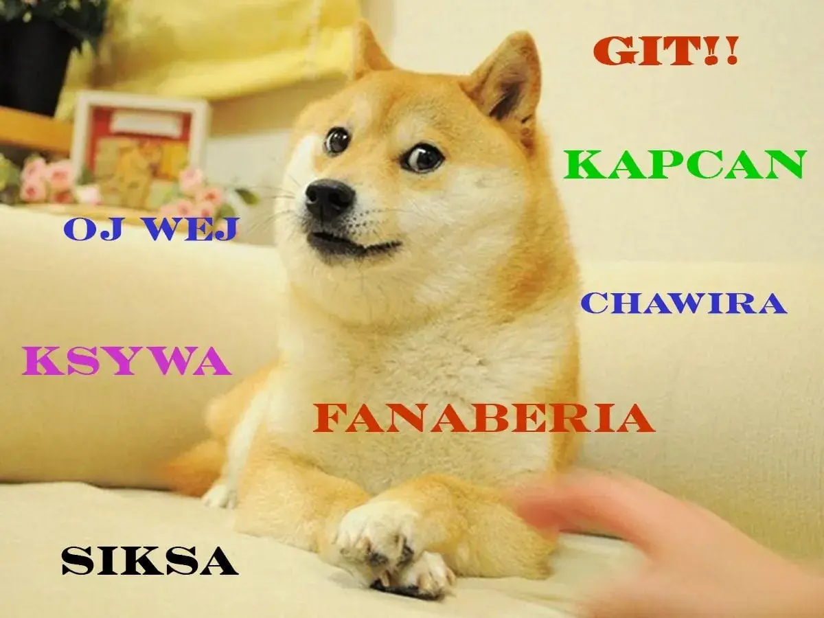Shiba Inu z napisem "GIT!!". Wokół psa słowa: "OJ WEJ", "KSYWA", "SIKSA", "KAPCAN", "CHAWIRA", "FANABERIA".