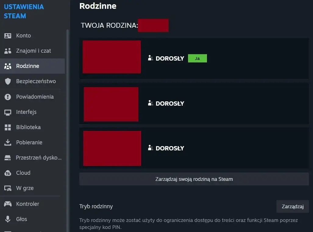 Steam Rodziny interfejs